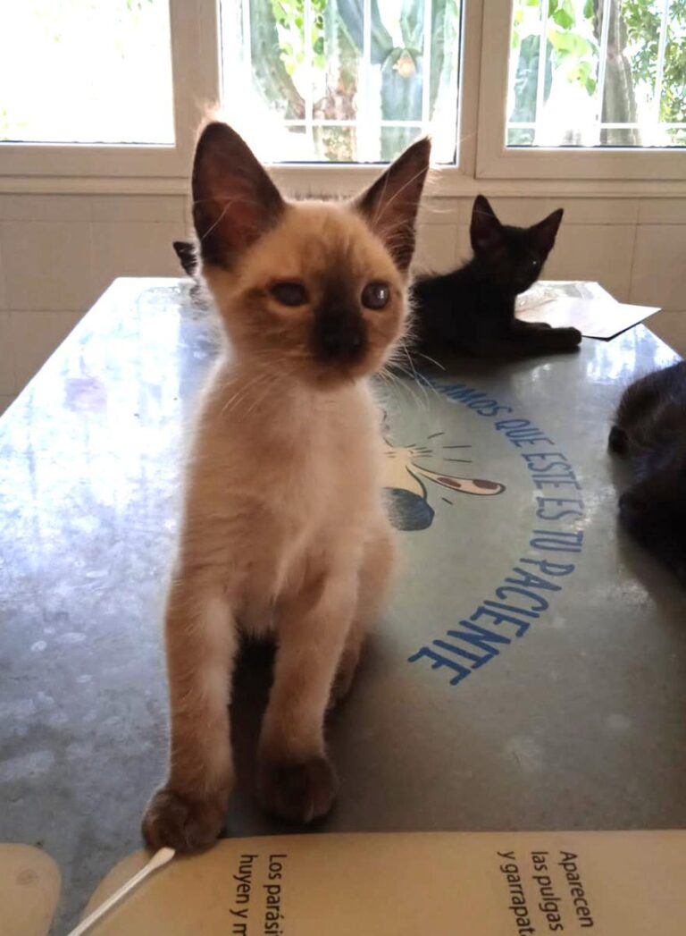 multimedia-foto74546-920-1