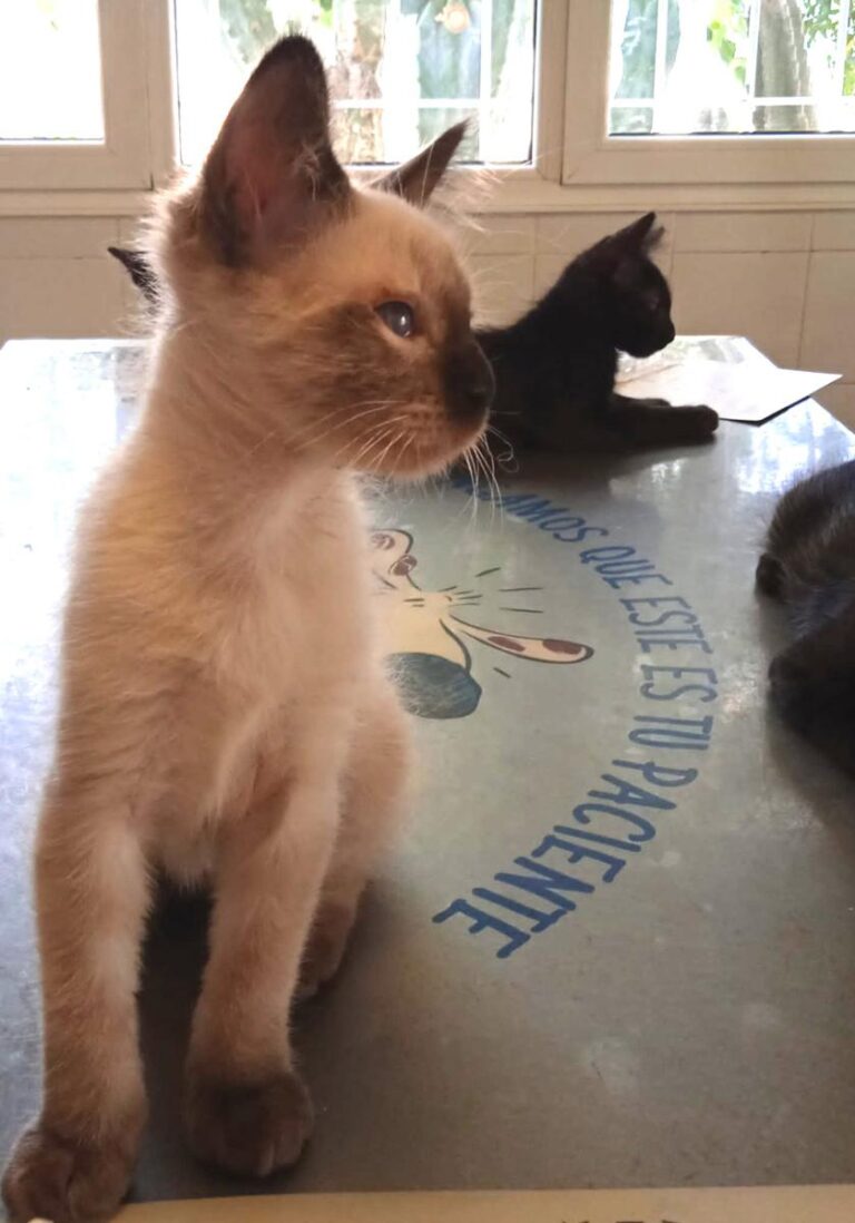 multimedia-foto74548-921-1