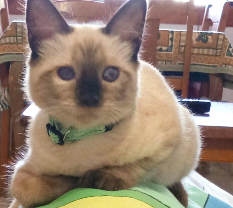 multimedia-foto74550-921-1