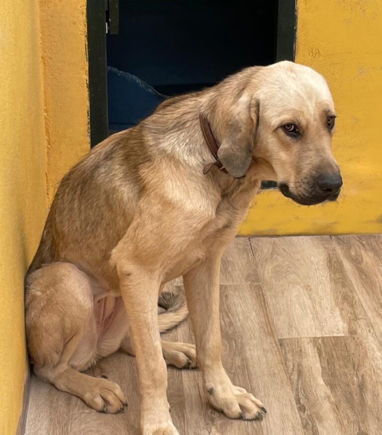 multimedia-foto74552-817-1