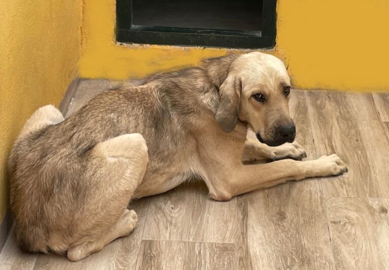 multimedia-foto74553-818-1