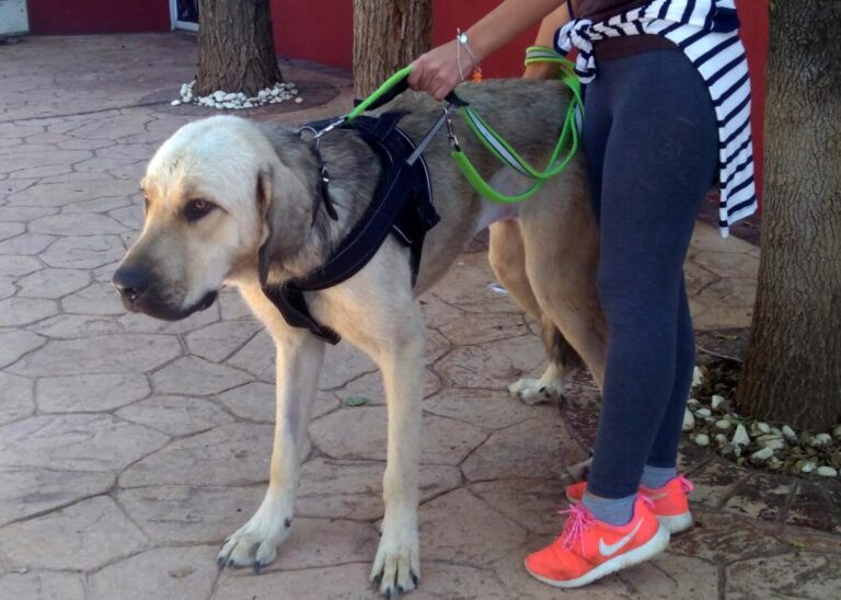 multimedia-foto74554-818-1