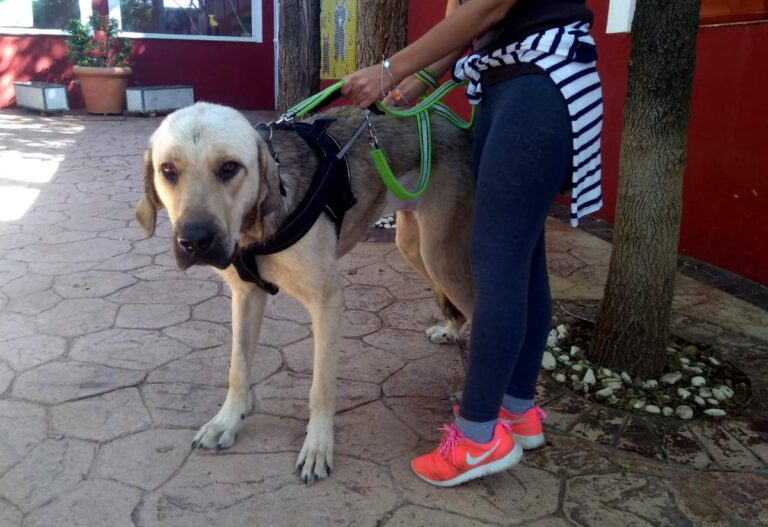 multimedia-foto74555-818-1