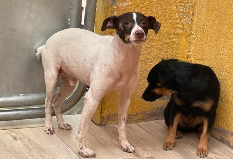 multimedia-foto74558-927-1