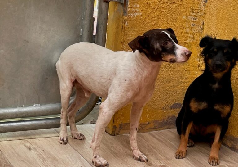 multimedia-foto74559-928-1