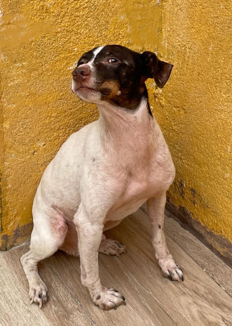 multimedia-foto74560-928-1