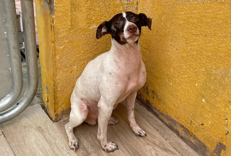 multimedia-foto74561-928-1