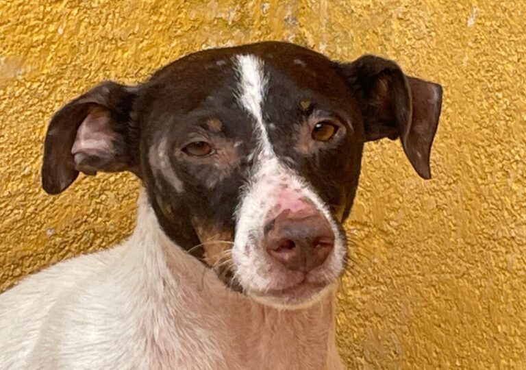 multimedia-foto74562-928-1