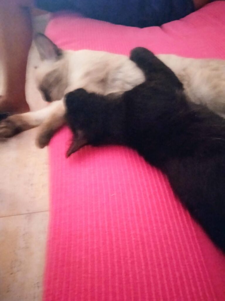 multimedia-foto74566-110-1