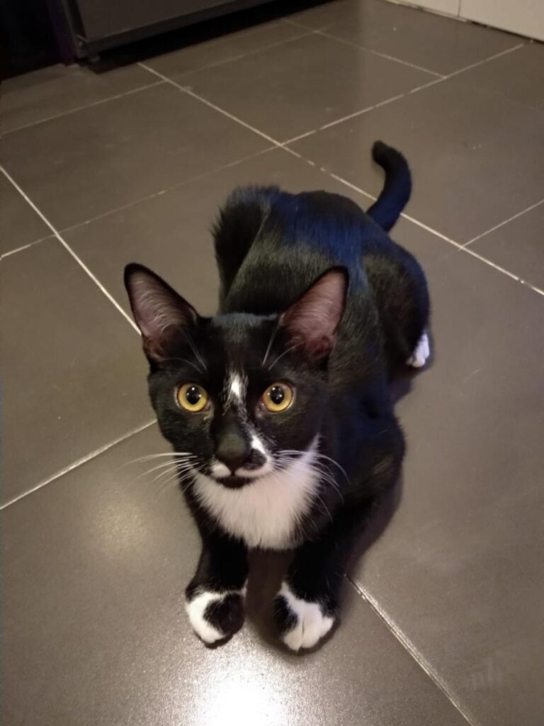 multimedia-foto74569-835-1