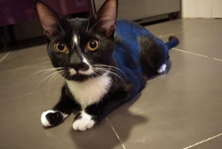 multimedia-foto74570-835-1