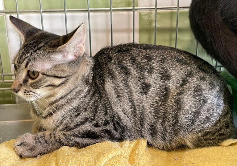 multimedia-foto74582-355-1