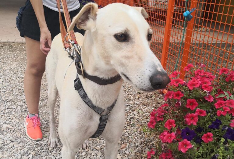 multimedia-foto74588-186-1