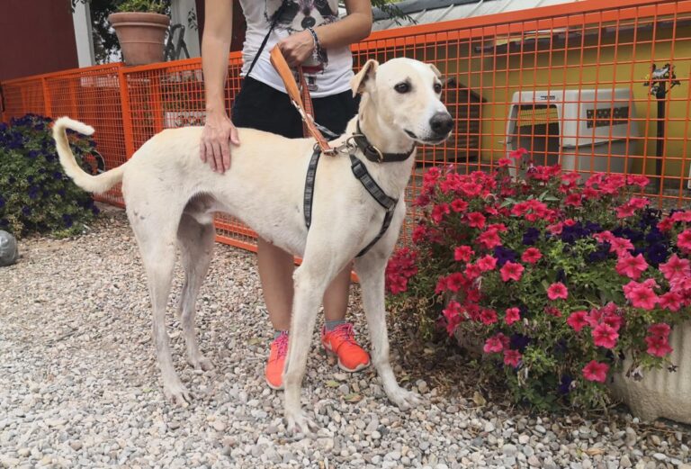 multimedia-foto74590-186-1