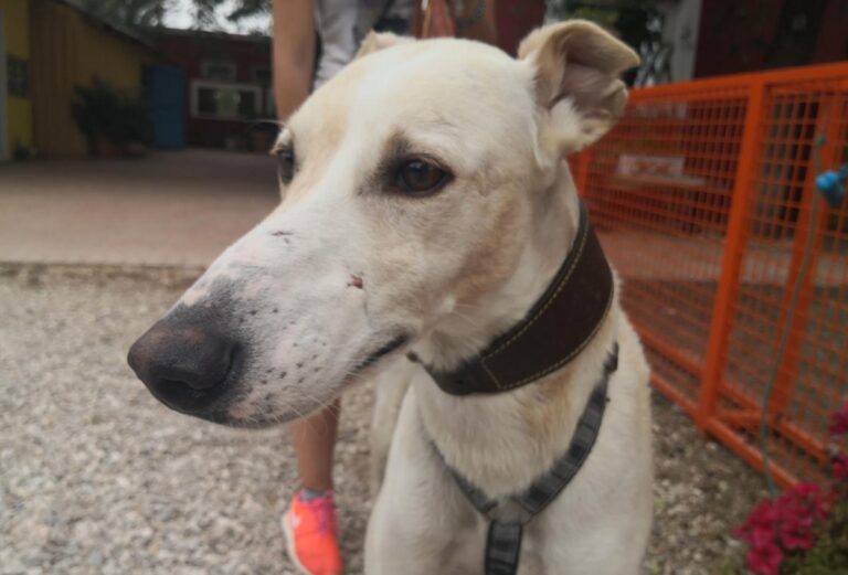 multimedia-foto74591-186-1