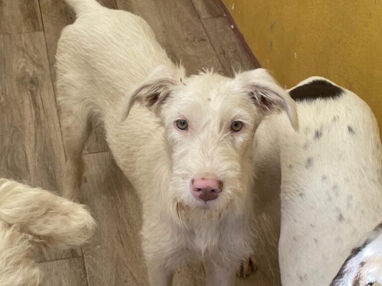 multimedia-foto74592-912-1