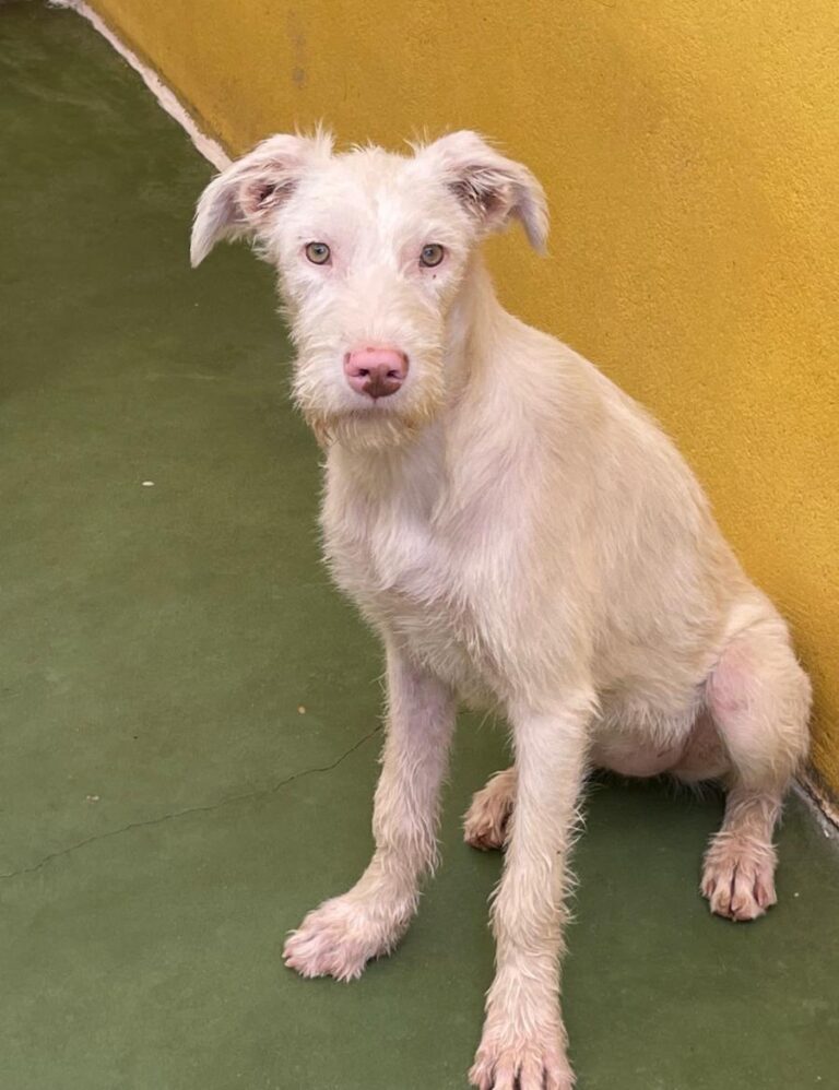 multimedia-foto74593-912-1