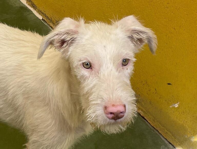 multimedia-foto74595-912-1