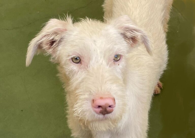 multimedia-foto74596-912-1