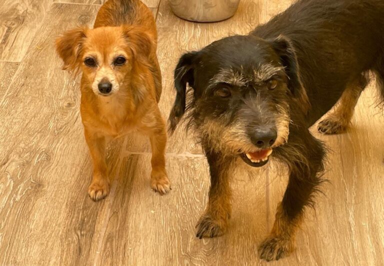 multimedia-foto74678-899-1