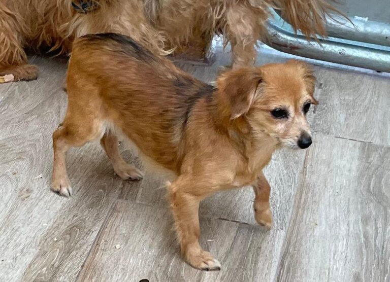 multimedia-foto74679-899-1