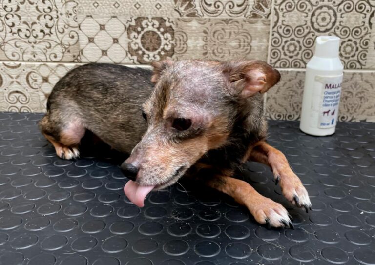 multimedia-foto74699-73-1