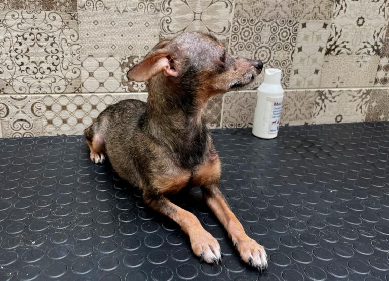 multimedia-foto74701-73-1