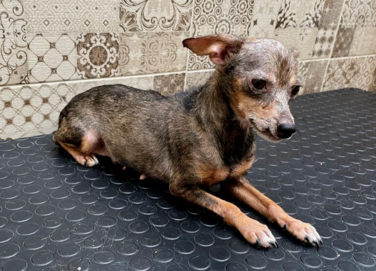 multimedia-foto74703-74-1