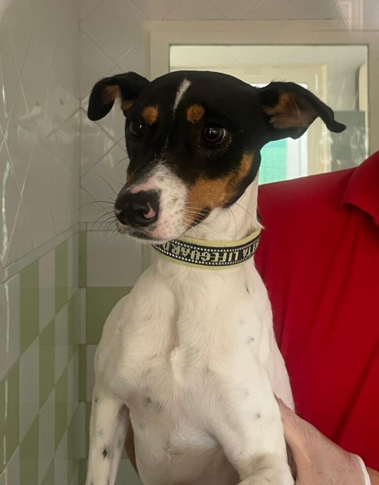 multimedia-foto74808-184-1