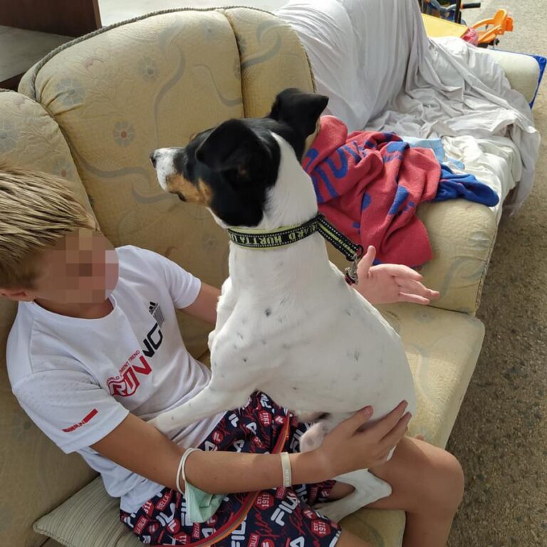 multimedia-foto74809-184-1