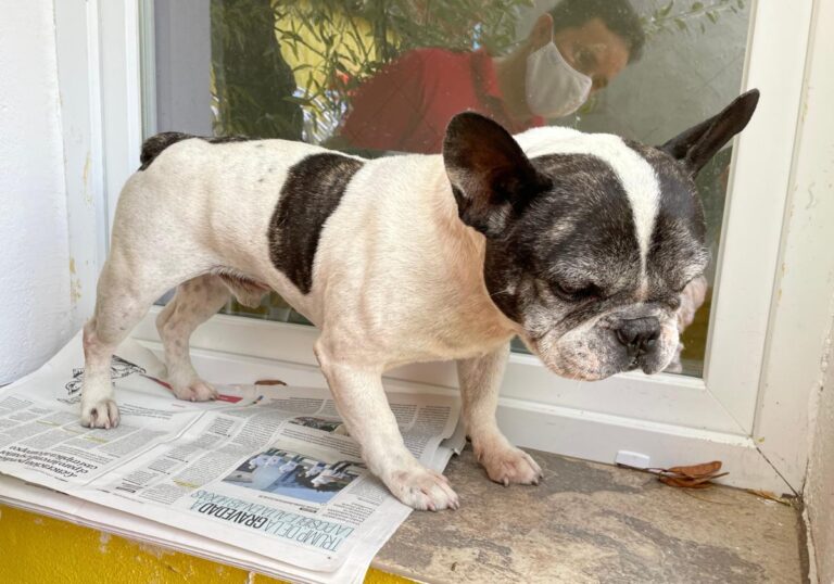 multimedia-foto74824-155-1