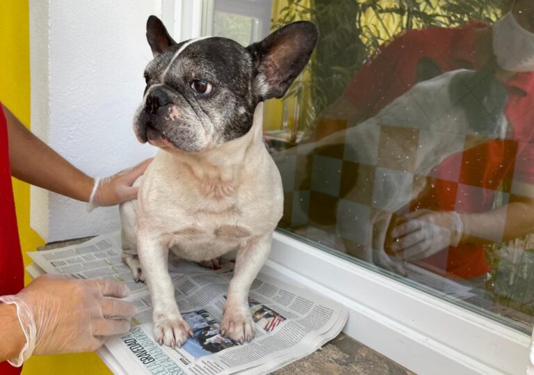 multimedia-foto74826-155-1