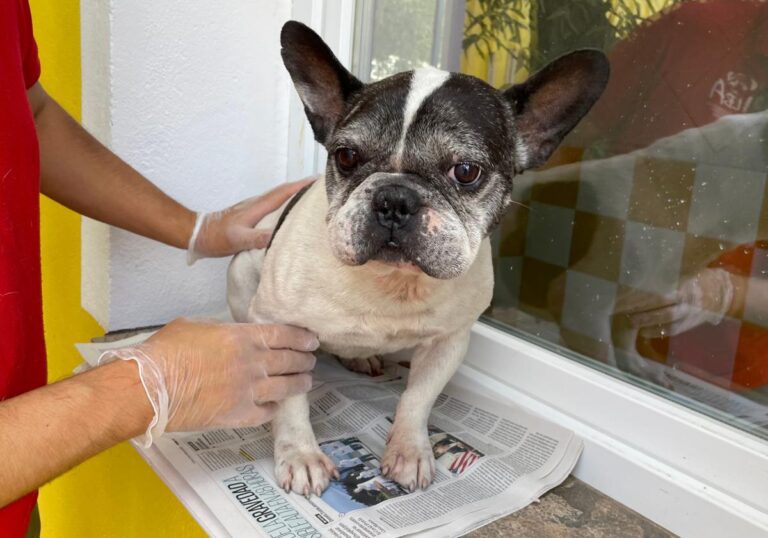 multimedia-foto74827-155-1