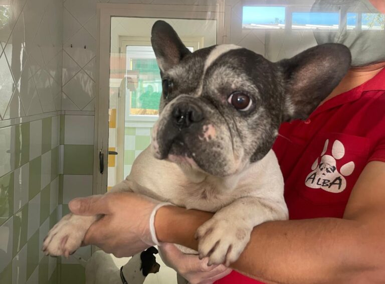 multimedia-foto74829-155-1