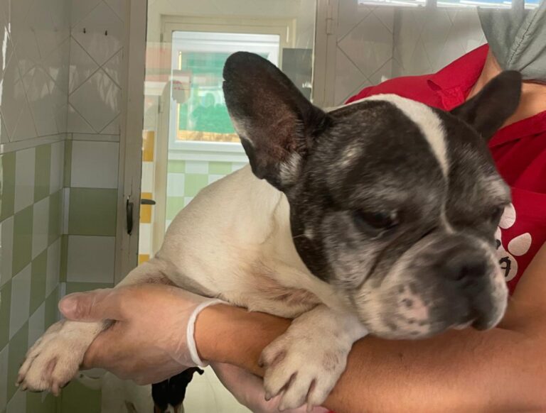 multimedia-foto74831-156-1