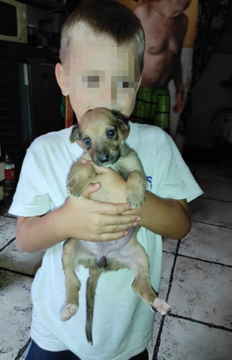 multimedia-foto74832-683-1