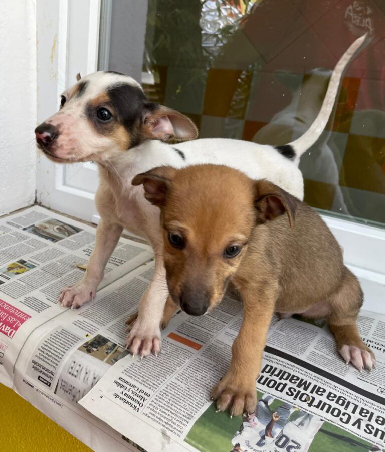 multimedia-foto74853-48-1