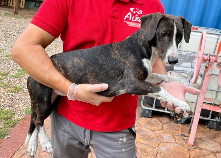 multimedia-foto74854-620-1