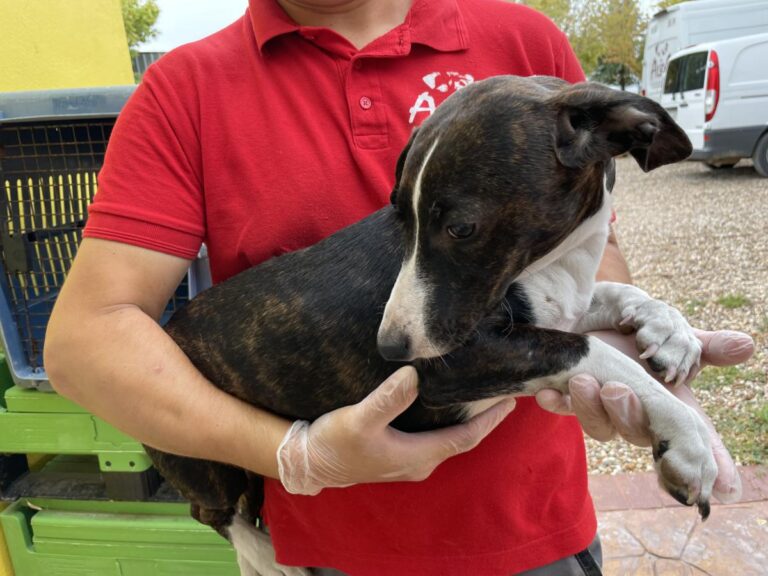 multimedia-foto74855-620-1