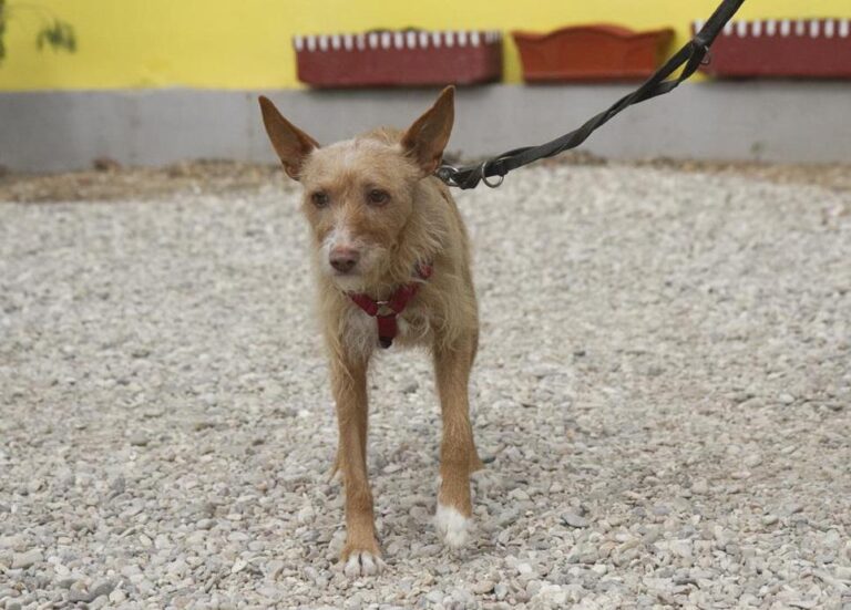 multimedia-foto74884-494-1