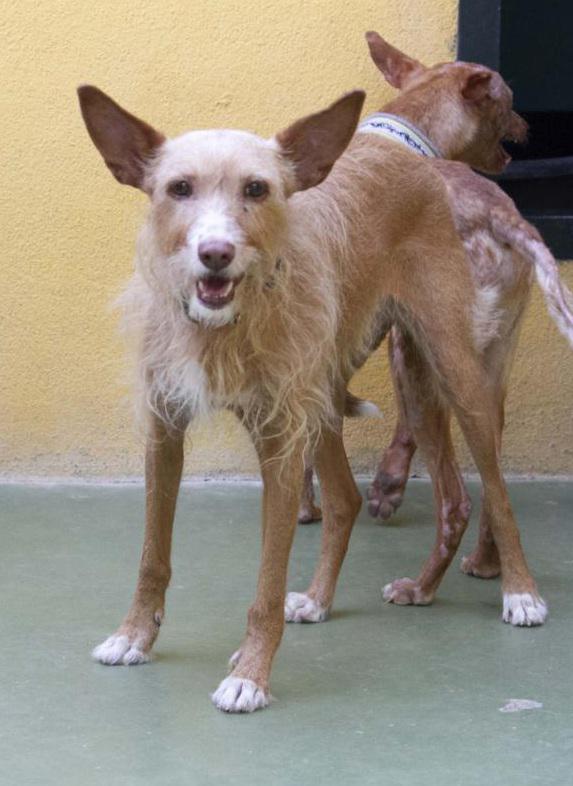 multimedia-foto74885-495-1