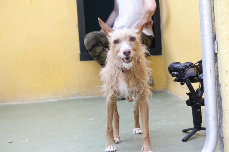 multimedia-foto74886-495-1