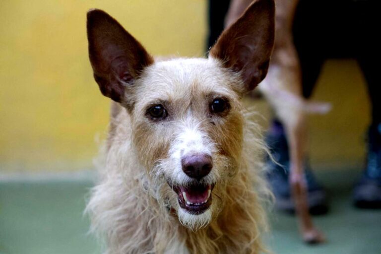 multimedia-foto74888-495-1