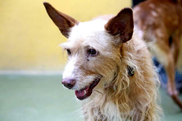 multimedia-foto74889-495-1