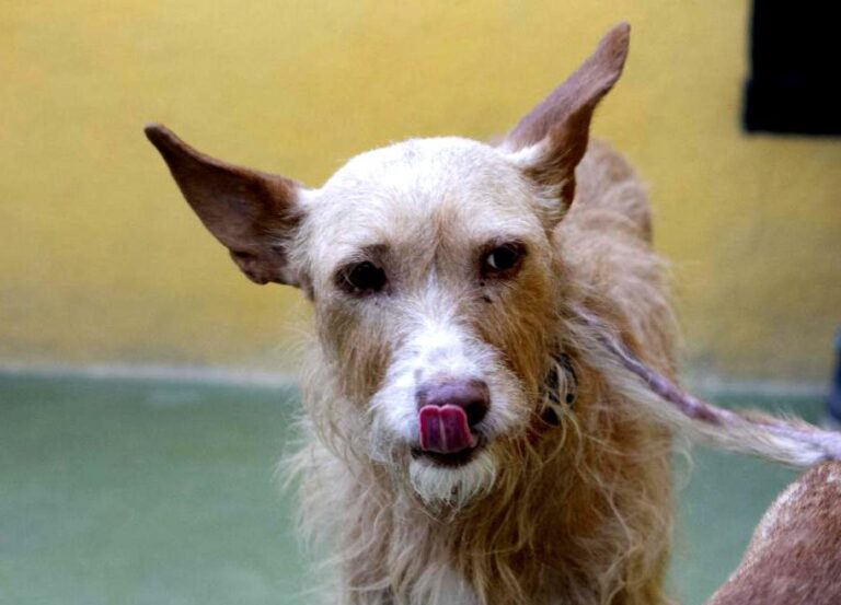 multimedia-foto74890-496-1