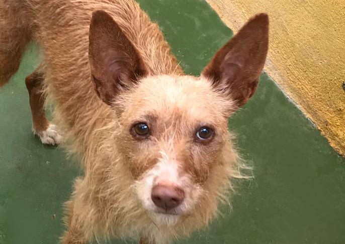 multimedia-foto74892-496-1