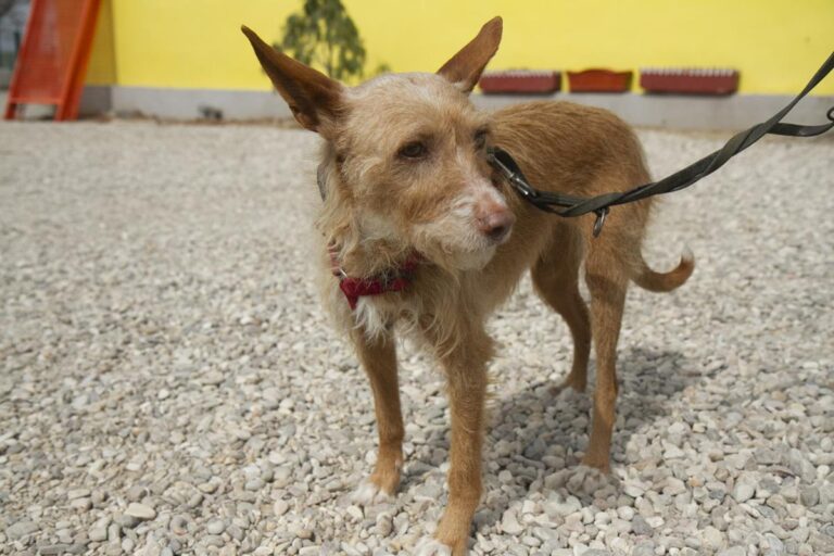 multimedia-foto74893-496-1