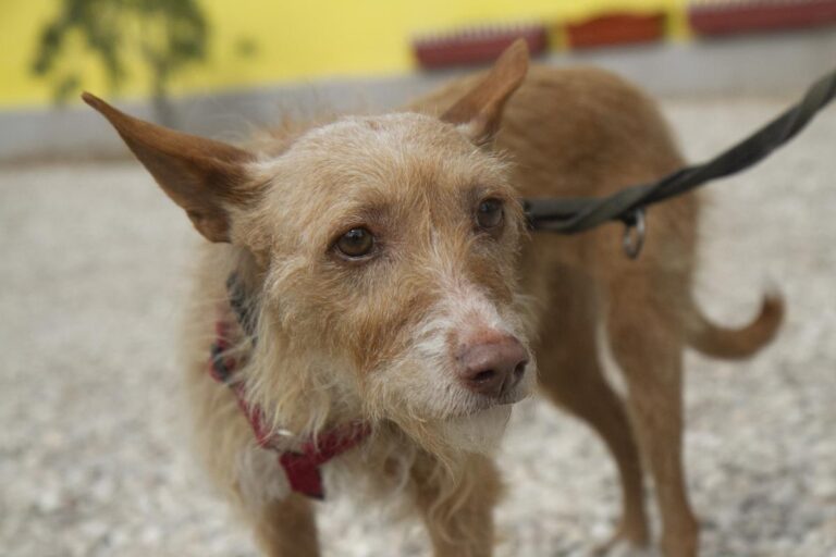 multimedia-foto74895-496-1