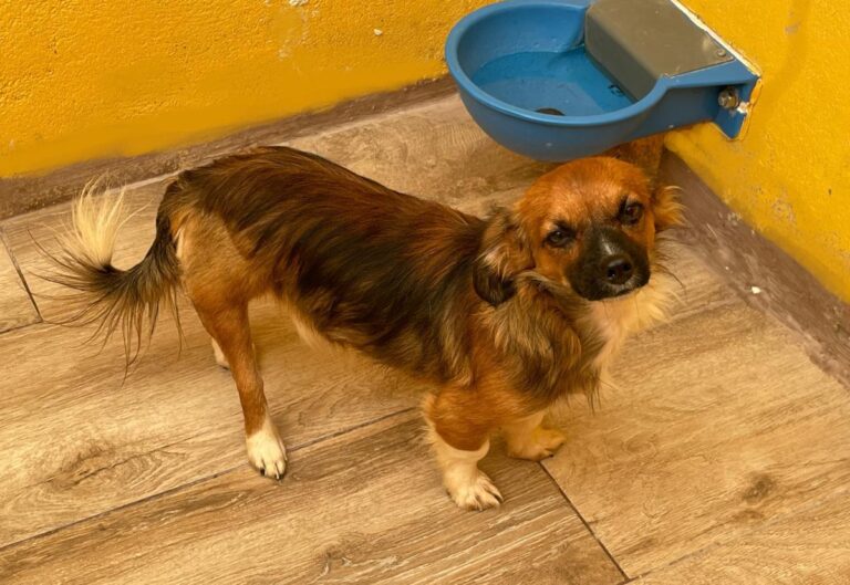 multimedia-foto74909-995-1