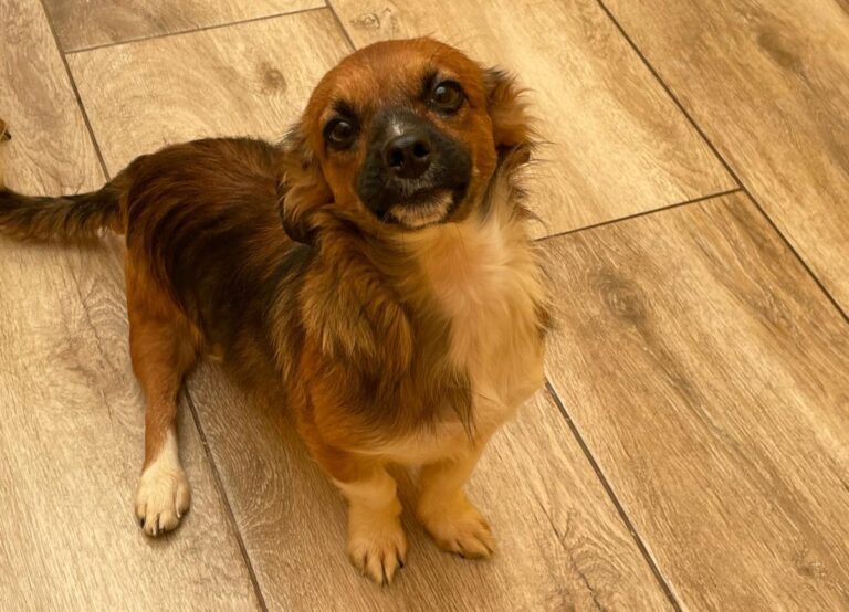 multimedia-foto74910-996-1